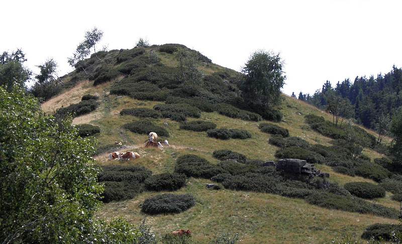 Una immagine del Monte Rubello