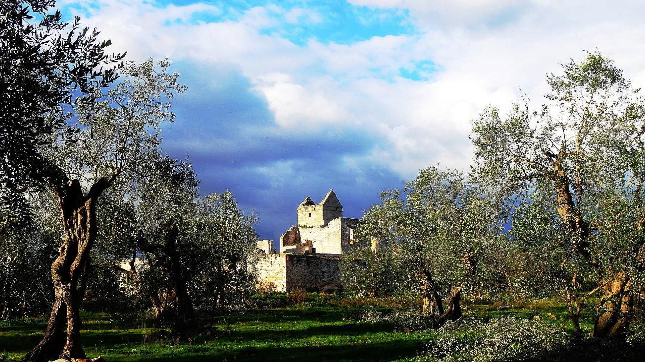 Bitonto, capitale dell’olio